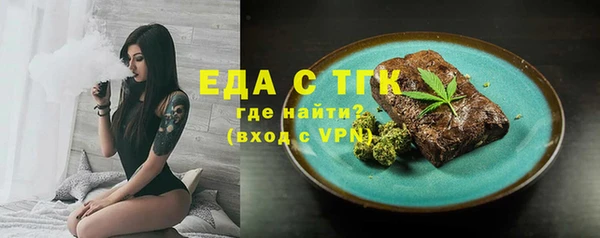 гидра Горняк
