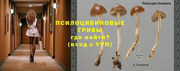 гашик Горно-Алтайск