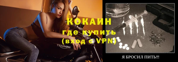 гидра Горняк