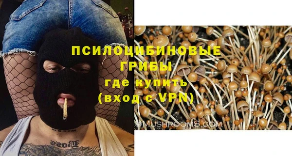 гашик Горно-Алтайск