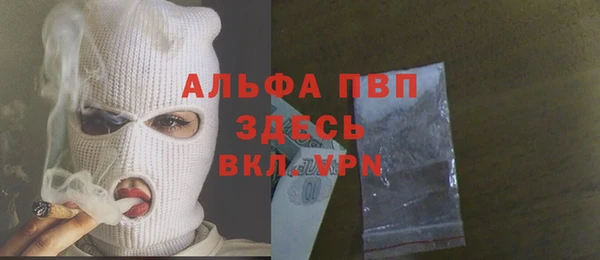 гидра Горняк