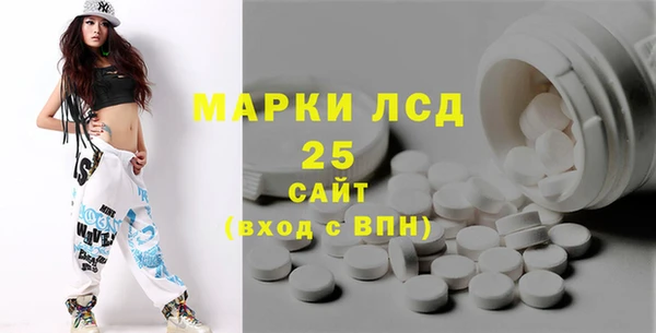 СК Горнозаводск