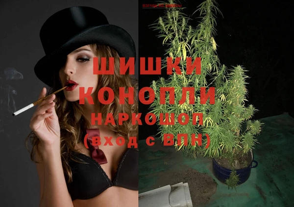 СК Горнозаводск