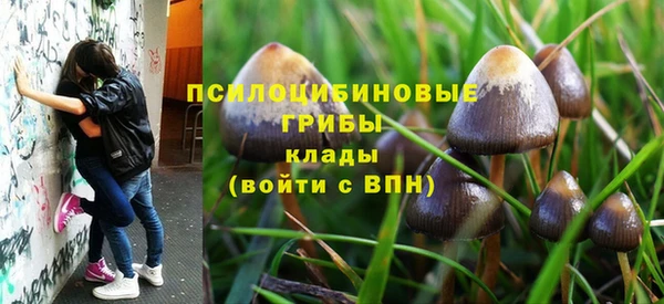 гидра Горняк