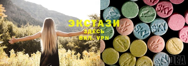 гидра Горняк