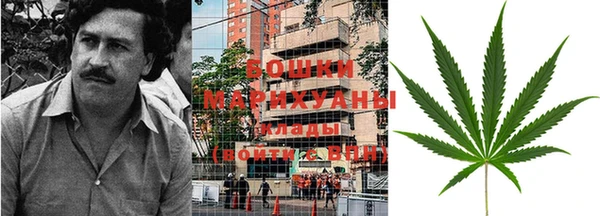 крисы Вязьма