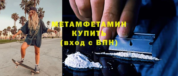 гидра Горняк
