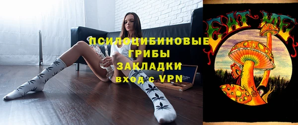 гашик Горно-Алтайск