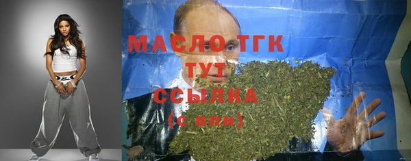 гидра Горняк