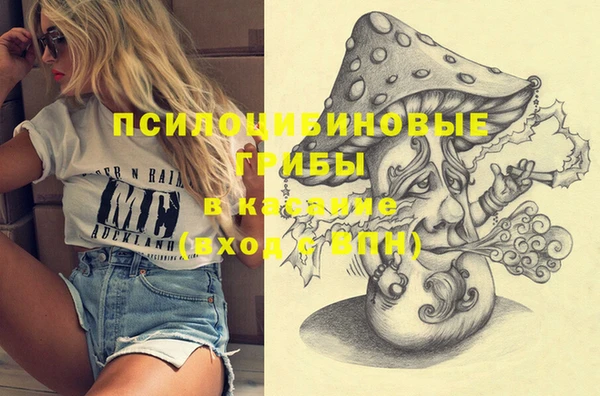 гашик Горно-Алтайск
