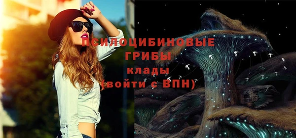 СК Горнозаводск