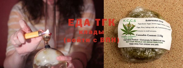 гидра Горняк