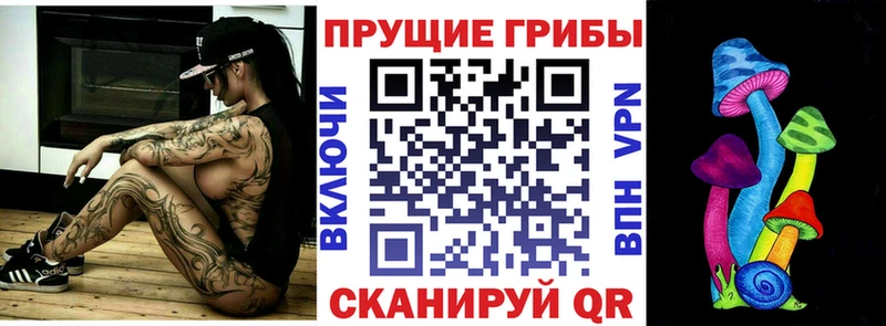 Купить закладки  Бугульма  Псилоцибиновые грибы MAGIC MUSHROOMS 
